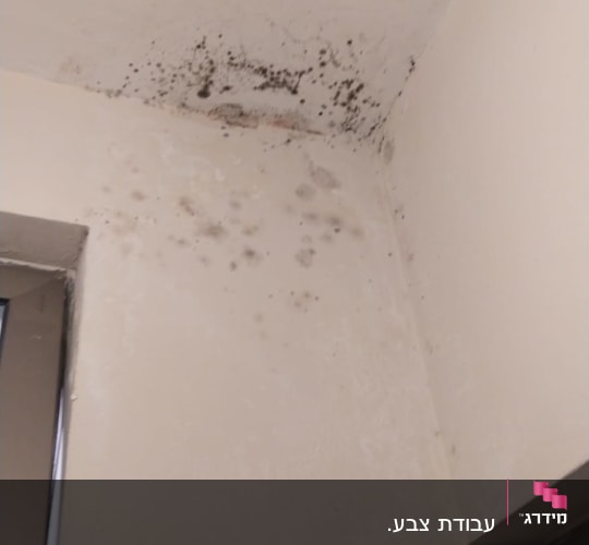 כתמי עובש על קיר לבן בתקרה